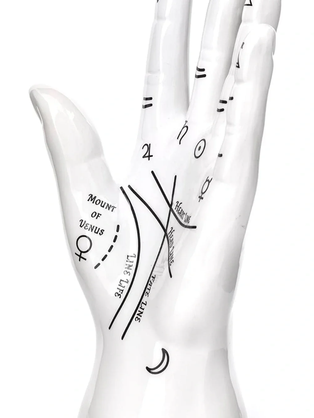 Kikkerland White Ceramic Palm Jewelry Holder with Black Print